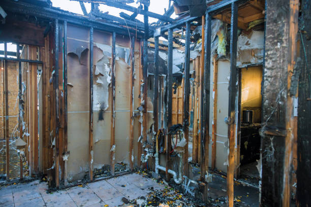 Professional Structural Rebuild technician working in Houston, TX